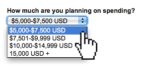 budget-selector