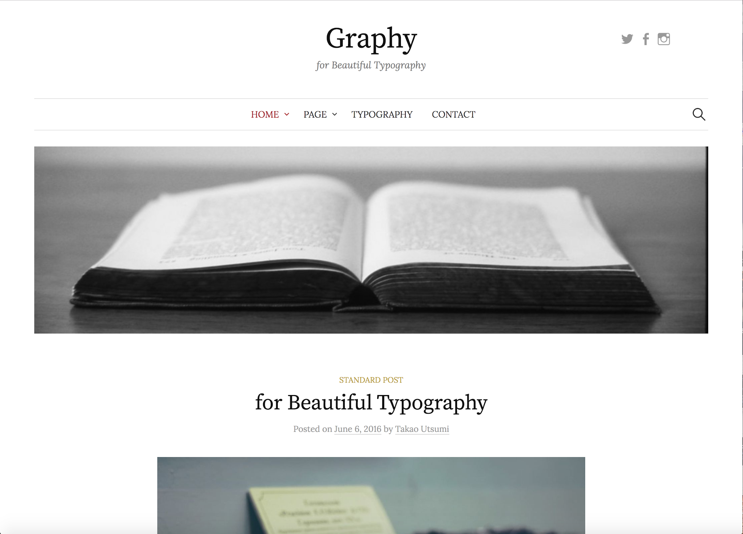 freelancer wordpress theme - graphy