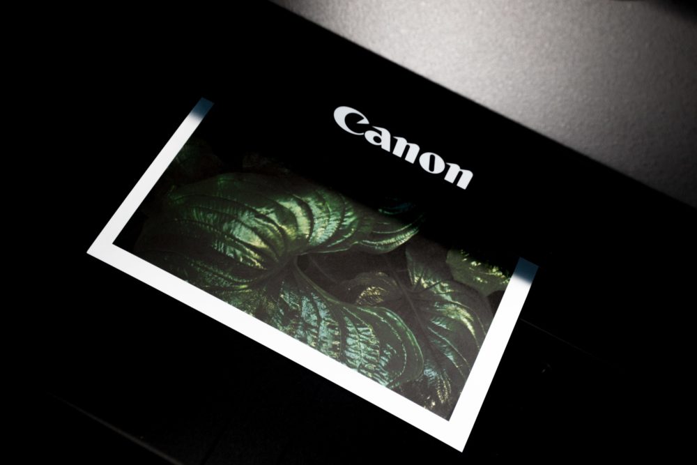Featured Image for: 10 Absolute Best Printers for Graphic Designers in 2022