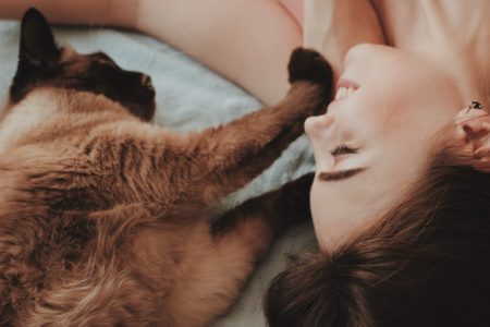 How I Went From Cat Sitter to Freelance Content Strategist in 23 days