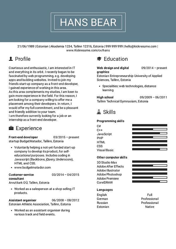 Technical resume of web developer example