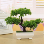 Bonsai tree kit