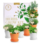Herb growing kit