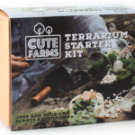 terrarium kit gift